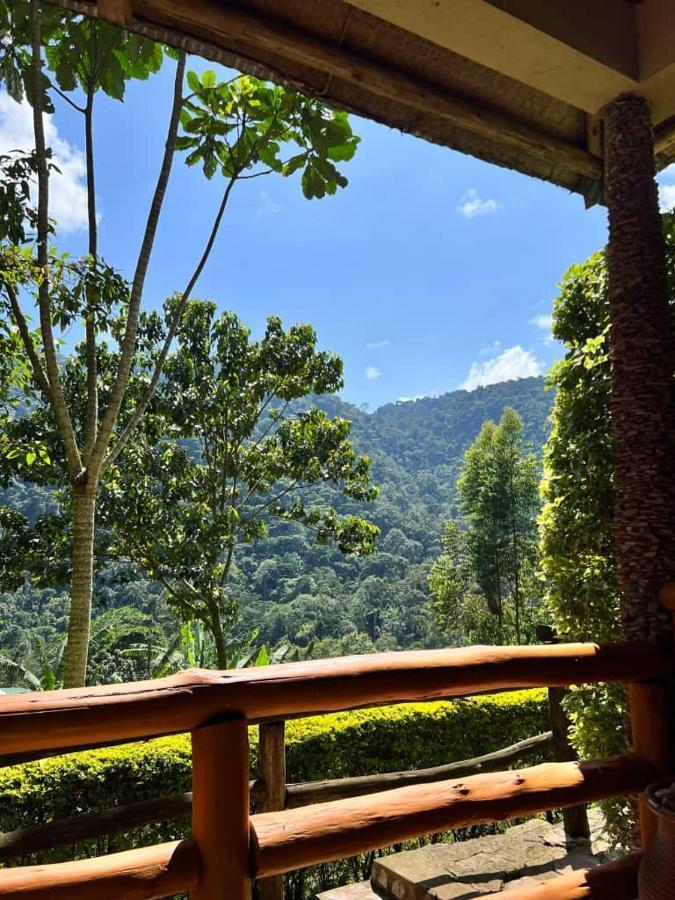 Bwindi Forest Lodge Buhoma ภายนอก รูปภาพ